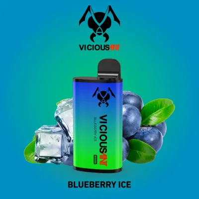 Factory Direct Selling Price Menthol Flavor Disposable Vape with 5000 Puffs and New Flavors of Various Fruits Wholesale Disposable Vape Pen