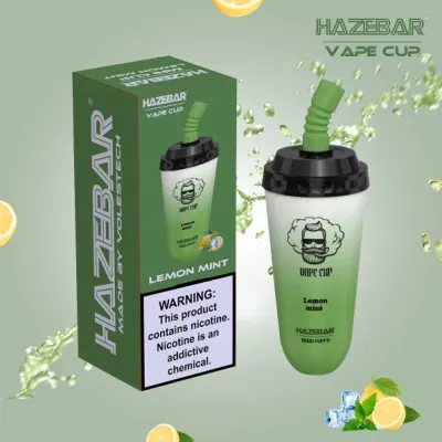 2023 Vaporizer Haze Bar Vape Cup 6000 Wholesale Vape Disposable Vape Pen Wholesale with Factory Price