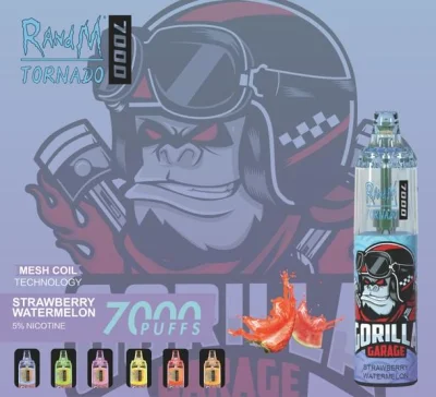 Newest Randm Tornado 7000 Airflow Control 7000 Puffs Disposable Vape Device Pod Vape Wholesale Disposable Vape