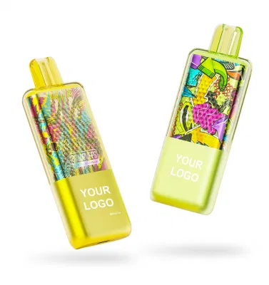 Elfworld Fruit Boom Shenzhen Hot Sales E-Cigarette 15000 Puffs Mint Flavor Disposable Vape Pen 12000 Puff Digital Display Screen 5%2%0%Nicotine OEM Vape