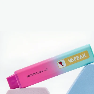 Popular Disposable Pods Puff Bar Vape 5000puffs Mint Flavor OEM Service Manufacturer
