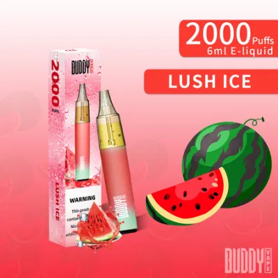  Manufacturer of OEM Different Flavors Transparent Pod Disposable Vape