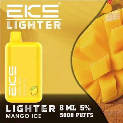 2023 China Factory High Quality Eks Lighter 8ml 5000puff Disposable Rechargeable OEM Custom Manufacturers Wholesale Vape Bc5000 EGO Electronic Vape