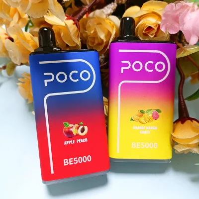 5000puff Bar Wholesale Vaporizador Desechable Poco Disposable Vaporizer Vape Pen for E-Cigarette