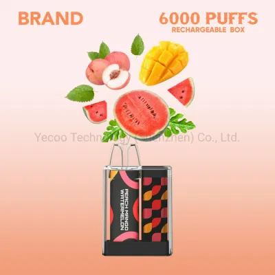 China Wholesale CE RoHS Factory Wholesale 6000 Puffs Private Brand OEM Rechargeable Box Mesh Coil Disposable Vape Pen Yecoo E Electronic E-Cigarette
