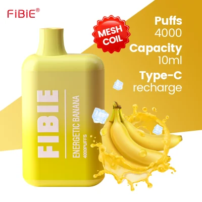 Wholesale Electronic Cigarette Fibie 4000 Puff Vaper Mini Rechargeable Lost E Cig Mary Germany Best Price Wape Shisha Randm Disposable Pen Vape