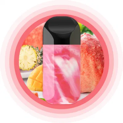 OEM&ODM 5000puff Rechargeable Disposable E-Cigarette 12ml Vape