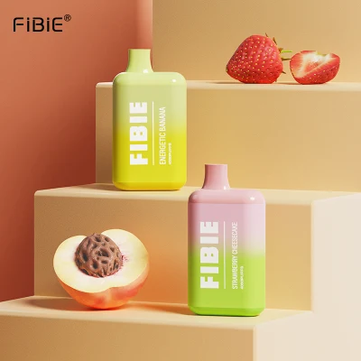 Wholesale Electronic Cigarette Fibie 4000 Puff Vaper Mini Rechargeable Lost E Cig Mary Germany Best Price Wape Shisha Randm Disposable Pen Vape