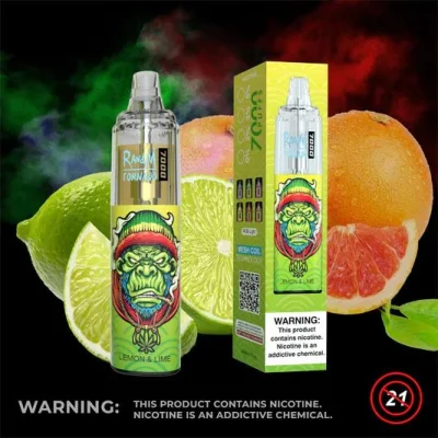 Original Newest Randm Tornado 7000 Puffs Airflow Control Disposable Vape Pod Cigarette Device Wholesale 7000 Puffs