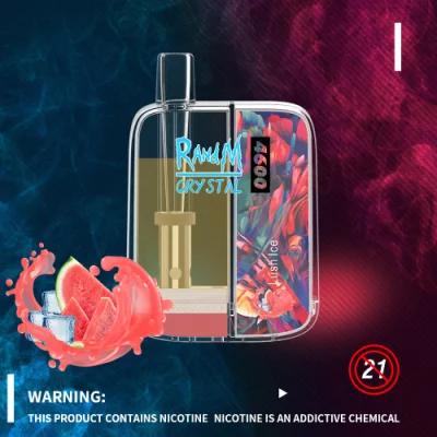 New Transparent Design Original Disposable Vape 4600 Puffs Randm Crystal Vapor Pod