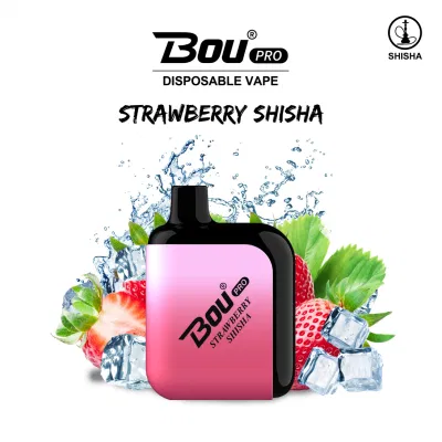 13 Types Flavor Fruit Disposable Vape