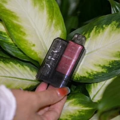 2022 Rincoe Best Selling Wholesale Amazon Factory 8ml 2000puffs Rechargeable Disposable Vape Vape Lava Plus