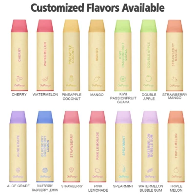 Eco-Friendly Disposable Vape 800puffs with CE Tpd Custom Flavor 2ml 400mAh Electronic Cigarette