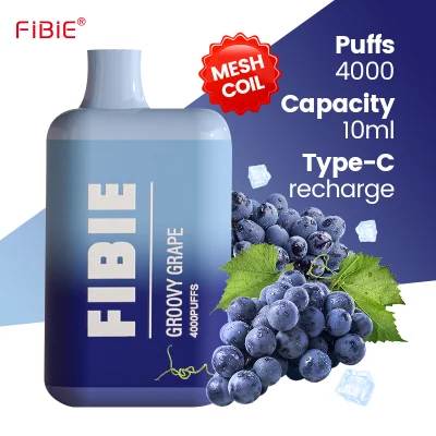 Wholesale Electronic Cigarette Fibie 4000 Puff Vaper Mini Rechargeable Lost E Cig Mary Germany Best Price Wape Shisha Randm Disposable Pen Vape