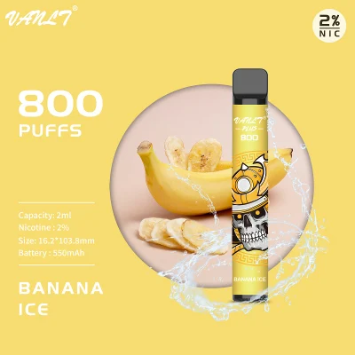 Wholesale Vapor Products 800 Puff Disposable Vape Electronic Cigarette Starter Kits Elektromos Cigaretta Elektronische Sigaret