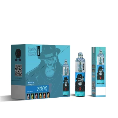 Factory Custom RGB Flash Adjustable Airflow Rechargeable Pod Vaporizer Hookah Shisha Pen Randm R and M Tornado Disposable Wholesale I Vape 7000 Puffs