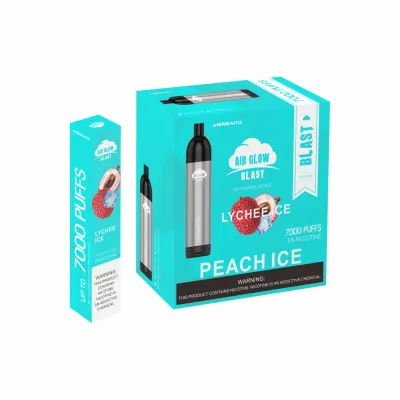 Wholesale New Products Mesh Coil 7000 Puffs Rechargeable Vape Pen Disposable Pod Vape with Charging Port