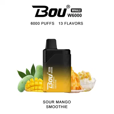 Wholesale Disposable Vape Bou Whale 6000 Puffs Electronic Cigarette