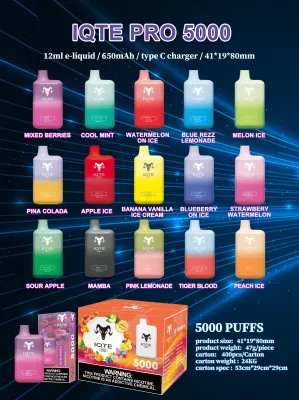 Factory Wholesale 5000puff Elf Box Disposable Vape Pen