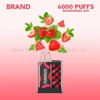 China Wholesale CE RoHS Factory Wholesale 6000 Puffs Private Brand OEM Rechargeable Box Mesh Coil Disposable Vape Pen Yecoo E Electronic E-Cigarette