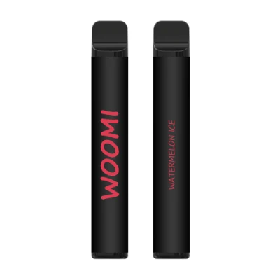 2023 Various Flavors Woomi Vape 2% Nicotine Mesh Coil Electronic Cigarette Rock 600 Puffs Disposable Vape