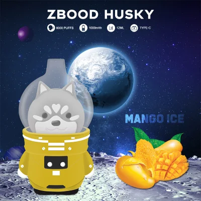 Zbood Space Husky Vape 6000 Violet Pod Space Turn E Cigarrer E Vape OEM ODM Cigarettes