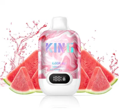  10000 Puffs 2% Nicotine E Liquid Disposable Vape Original Good Taste Fruit Flavor Ecigarette