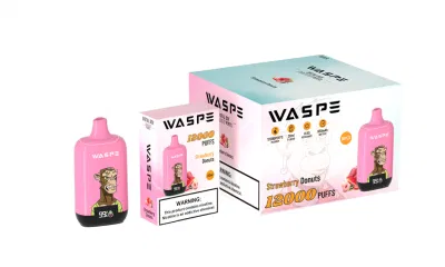 Original Factory E Cigarette Vapanda Infinity Cheapest Vape Randm Disposable Pod 9000 15K Puffs Disposable Vape