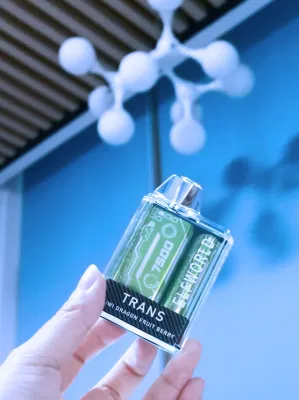 Te5000 Disposable Vape Hot Selling Rechargeable 5% Nicotine Sigelei Snowwolf Mino 7500 Puffs 11flavos Wholesale I Disposable Vape Puff Labs Hotbox Elfwo