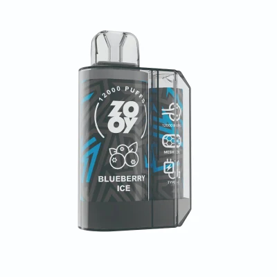 Wholesale Spot Goods Zooy King Puff 12K E Cigarette Rechargeable Batteries Prefilled Carts Vapes Randm Tornado 12000 Puffs Bar Vaper Disposable Vape Pen Hookah
