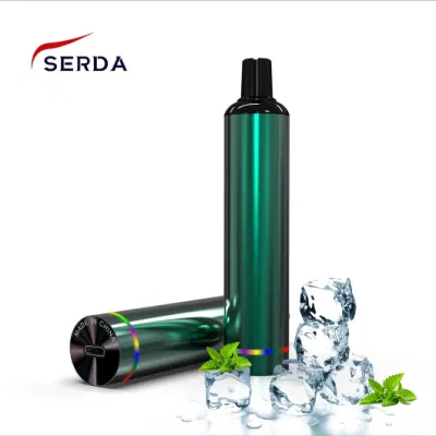 Rechargeable Disposable Vape Pen 3000 Puffs 10ml Vape with Charging Port