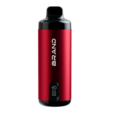 2024 Ecig Best Selling Smoking Huge Puffs 20ml Dual Mesh Coil OEM ODM Fruit Flavors E Liquid
