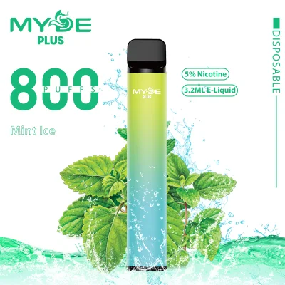 Cool Mint 800 Puffs Disposable E Cigarette 5% Nicotine Popular Vapes