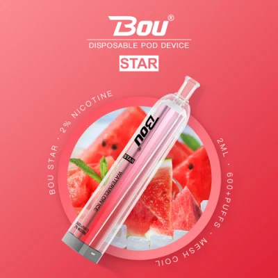 600 Puffs Tpd Grape Blueberry Mango Peach Pineapple Apple Banana Strawberry Raspberry Watermelon Passion Mint Ice Disposable Vape E-Cigarette E-Cig