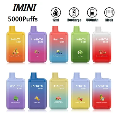  Imini Disposable Vape Puff Flex PRO 5000 Type C 10 Disposable Flavors 5000 Puff