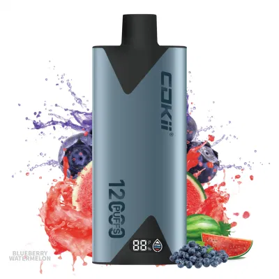 Hotbox Vape E Cigarette Disposable Electronic Cigarette 12000 Puffs Vape
