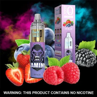 Original Newest Randm Tornado 7000 Puffs Airflow Control Disposable Vape Pod Cigarette Device Wholesale 7000 Puffs