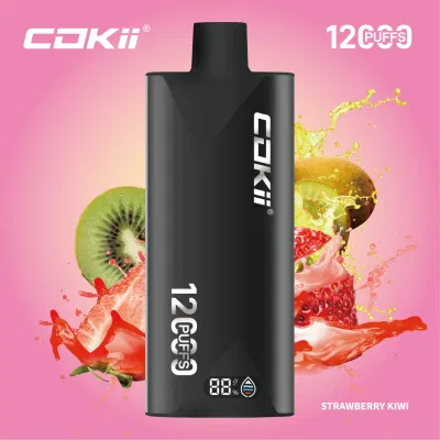 Hotbox Vape E Cigarette Disposable Electronic Cigarette 12000 Puffs Vape