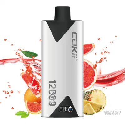 Hotbox Vape E Cigarette Disposable Electronic Cigarette 12000 Puffs Vape