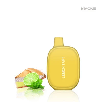 Menthol Flavor 5% 6% Tfn E Liquid 3000 Puff Disposable Vape Pen
