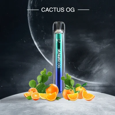 Yd Shenzhen OEM/ODM Transparent Gradient Style Wholesale Price Disposable Vape Electronic Cigarette with 600puffs