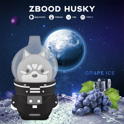Zbood Space Husky Vape 6000 Violet Pod Space Turn E Cigarrer E Vape OEM ODM Cigarettes