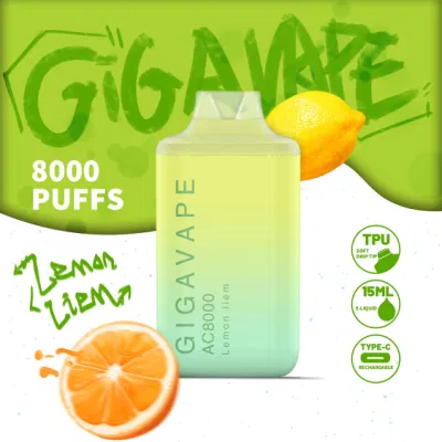 Wholesale Mesh Coil 8000 Puffs Rechargeable Vape Pen Disposable Pod Vape with Charging Port