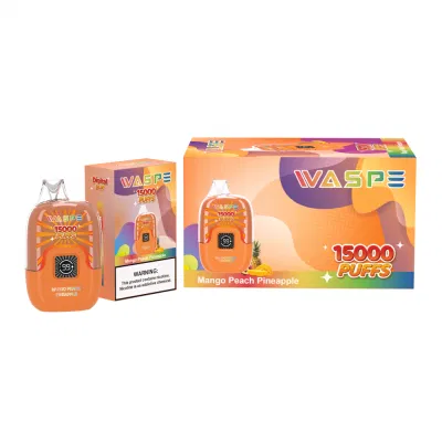 E Cigarette Waspe Box 15000 Puff Vape 15K Puffs Bar LCD Screen Vapes Factory Wholesale Disposable