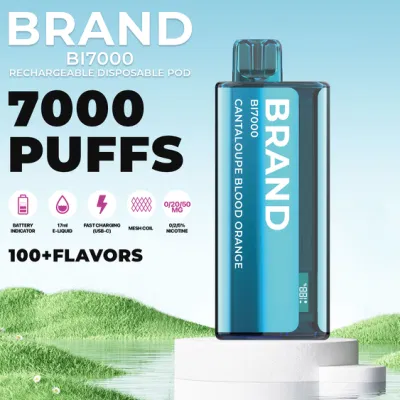 Hidi Wholesale Disposable Vape Pen Mods Disposable E Cigarette 7000 Puff E Liquid Vaporizer Rechargeable Replace Pod Smoke Vape Factory