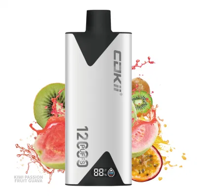 Hotbox Vape E Cigarette Disposable Electronic Cigarette 12000 Puffs Vape