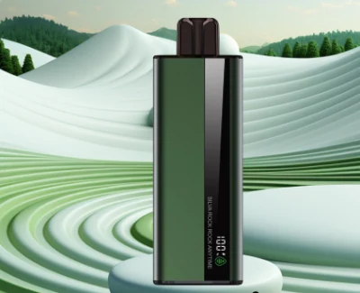 OEM Log Vape 7000 10000 Puff Elfworld Mary Vape Flavors Bc5000 Vape Puff 9K Puff Elektronik Sigara Best Vape Pen 2023 Elf World Vape 22 Flavor Eureka Disposable