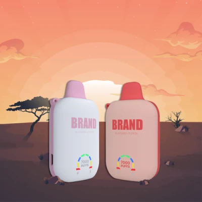 Hot Sale OEM Puffs Bar Disposable Pack Pods Vapes Vape Pod Nicotine Free Vape