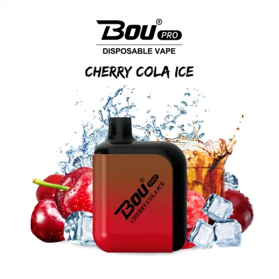 13 Types Flavor Fruit Disposable Vape
