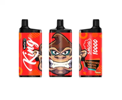 Good Taste 20ml E Cig Mesh Coil Rechargeable Battery Mr Smog King 10000 Puff Loon Max Dom Vape
